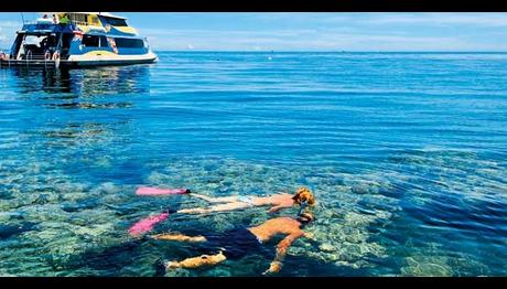 Yat İşletmecilerinin `Yaban Hayatı` Duyarlılığı