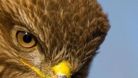 Örnek haber adı gelecek.