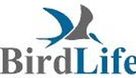 Dünyanın yaygın kuş türleri yok oluyor