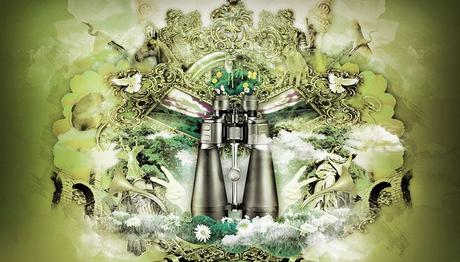 Kuş Fotoğrafçısı ve Gözlemcisinin Sözlüğü