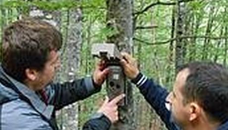 Arnavutluğun saklı yaban hayatı