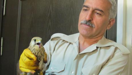 İSRAİLDEN HALKALI KERKENEZ