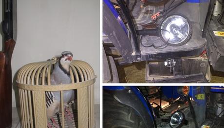 Burdur'da Kaçak Avcılıkla Mücadele