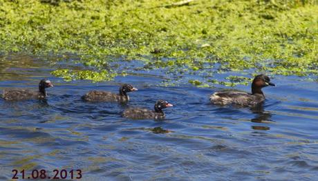 Örnek haber adı gelecek.