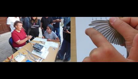 Kuş Halkalama Temel Eğitimi yapıldı