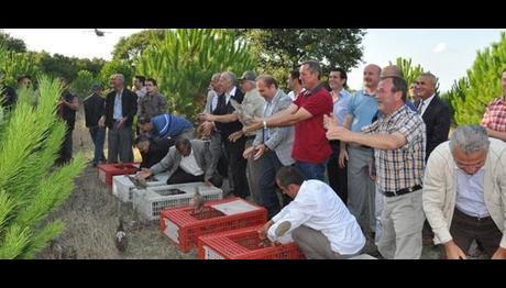 Örnek haber adı gelecek.