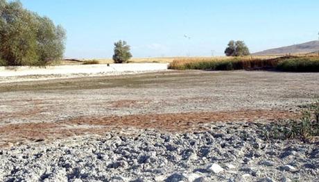 Örnek haber adı gelecek.