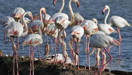 Örnek haber adı gelecek.