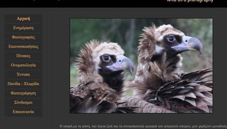 Örnek haber adı gelecek.