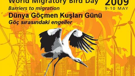 9-10 Mayıs Dünya Göçmen Kuşlar Günü