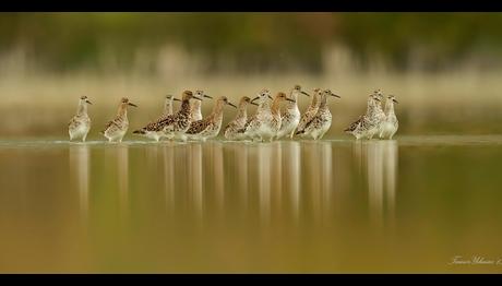 Örnek haber adı gelecek.
