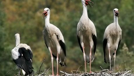 Örnek haber adı gelecek.