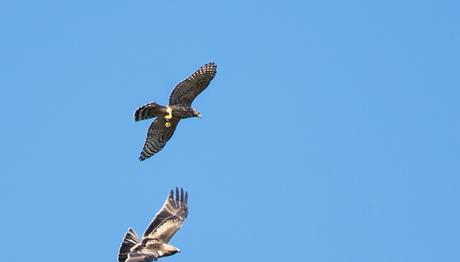 Örnek haber adı gelecek.
