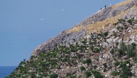 Örnek haber adı gelecek.