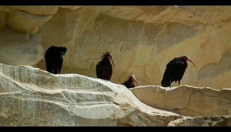 Örnek haber adı gelecek.