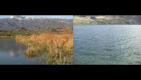 Örnek haber adı gelecek.