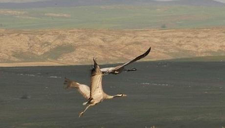 Örnek haber adı gelecek.