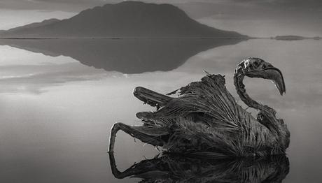 Örnek haber adı gelecek.