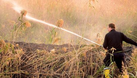 Örnek haber adı gelecek.