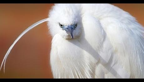 Örnek haber adı gelecek.