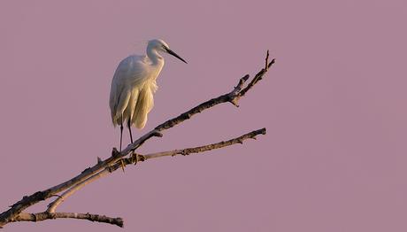 Örnek haber adı gelecek.