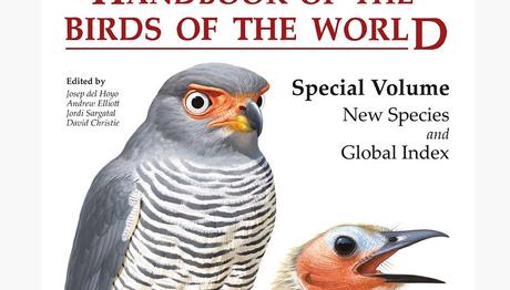 Örnek haber adı gelecek.