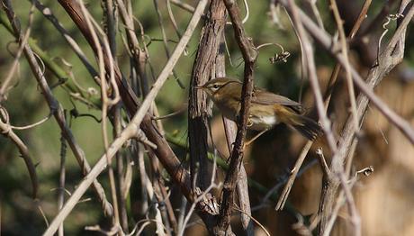 Örnek haber adı gelecek.