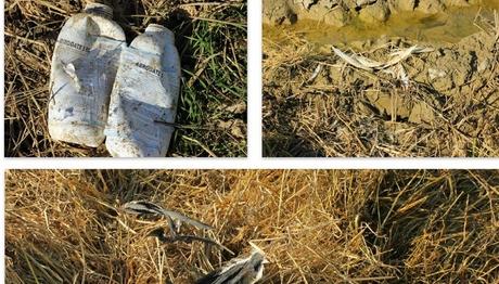 Göç Edirne'de kesildi