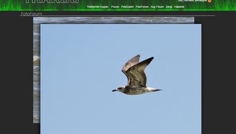 Örnek haber adı gelecek.