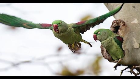 Örnek haber adı gelecek.