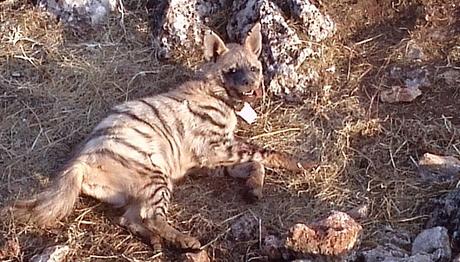 Örnek haber adı gelecek.