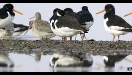 Örnek haber adı gelecek.