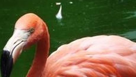 Örnek haber adı gelecek.