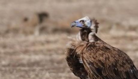 Örnek haber adı gelecek.