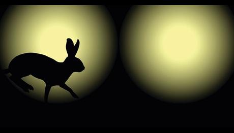 Örnek haber adı gelecek.