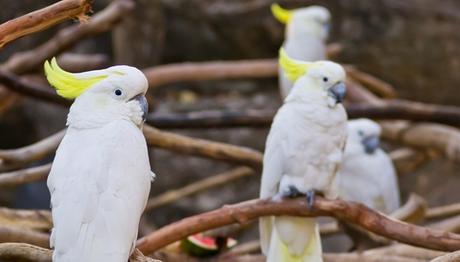 Örnek haber adı gelecek.