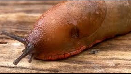 Örnek haber adı gelecek.