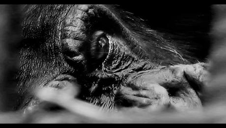 Örnek haber adı gelecek.