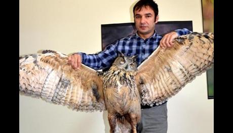 Örnek haber adı gelecek.