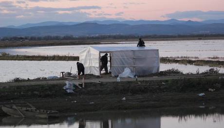 GALA GÖLÜ VE MERİÇ DELTALARI AVCILAR TARAFINDAN YOK EDİLİYOR