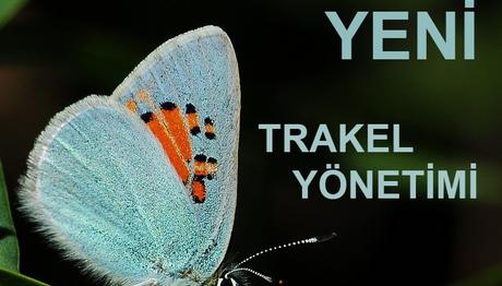 TRAKEL-Yeni Yönetim