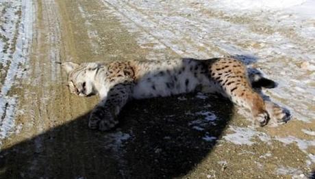 Örnek haber adı gelecek.