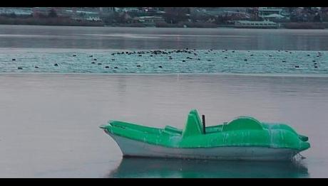 Örnek haber adı gelecek.