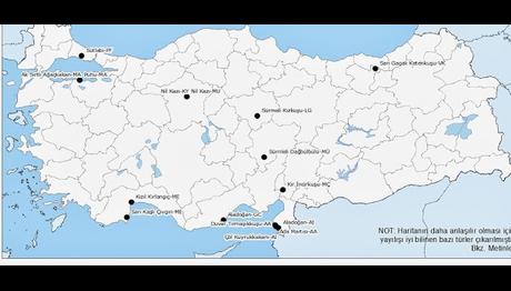 Örnek haber adı gelecek.