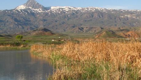 Örnek haber adı gelecek.