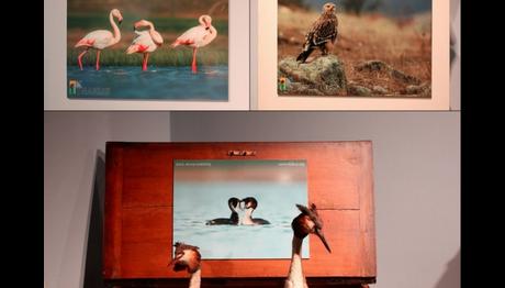 DOĞA BİLİMLERİ MERKEZİ ZİYARETİ!