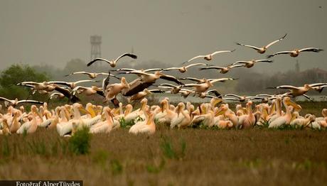 Örnek haber adı gelecek.