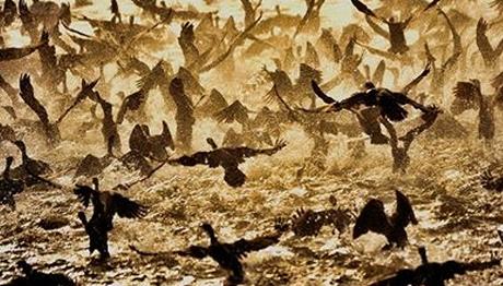 National Geographic Türkiye Fotoğraf Yarışması Sonuçlandı