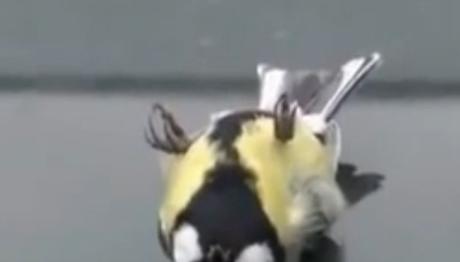 Örnek haber adı gelecek.