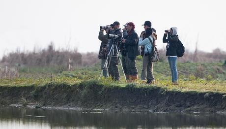 Örnek haber adı gelecek.